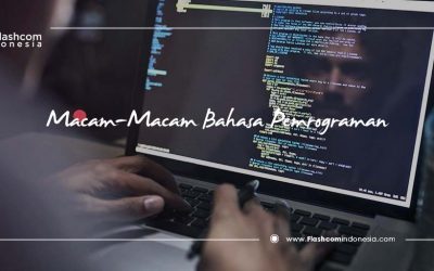 Macam-Macam Bahasa Pemrograman untuk Web Design